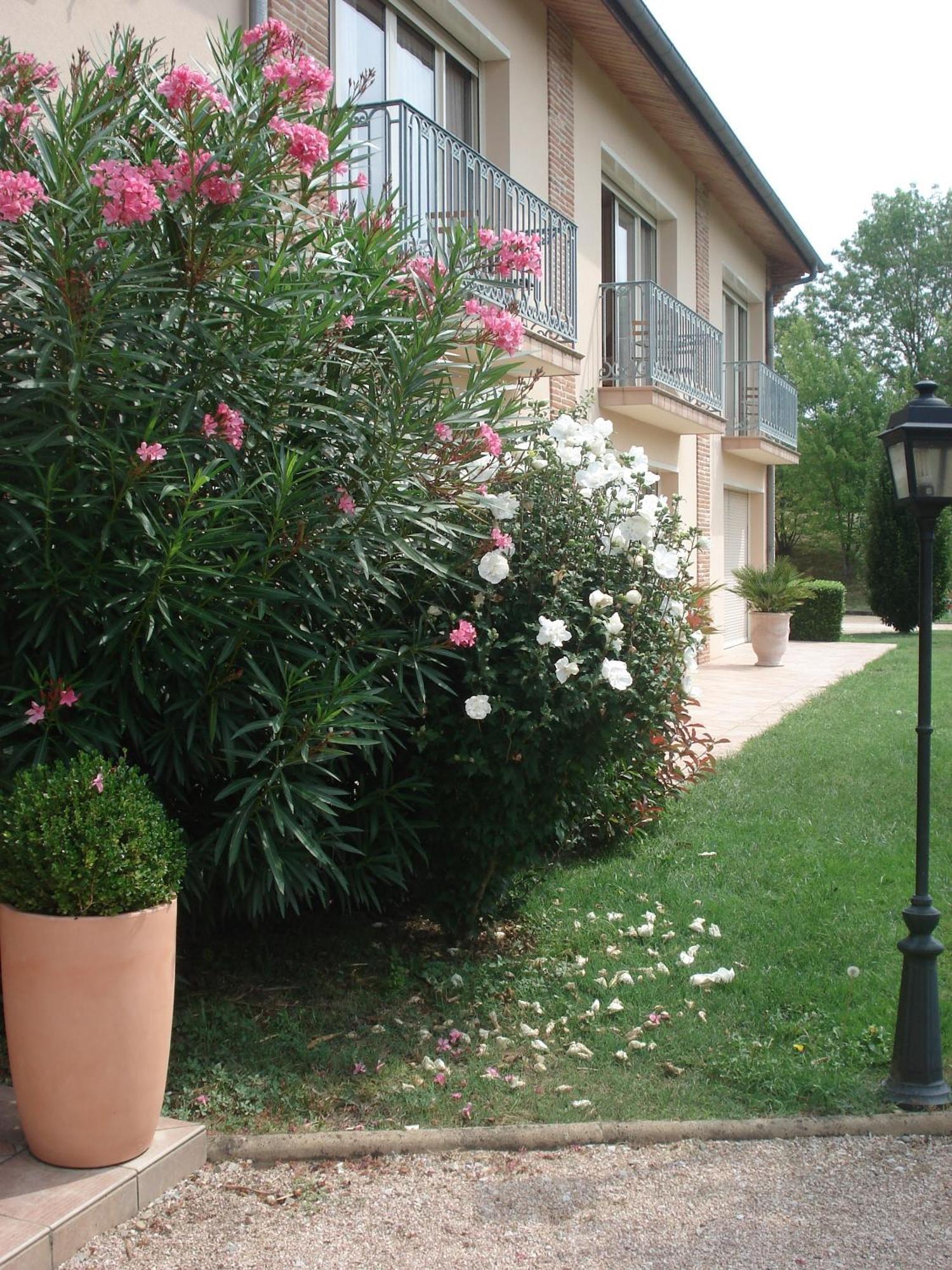 L'Oustal Du Lauragais Hotel Labastide-Beauvoir Kültér fotó